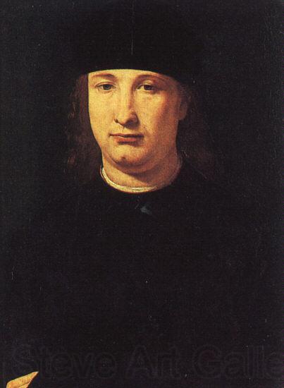 BOLTRAFFIO, Giovanni Antonio The Poet Casio u Spain oil painting art